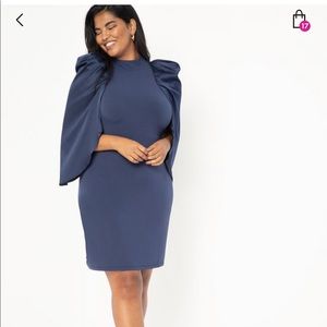 NWT Satin Sleeved Fitted Dress